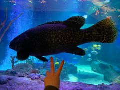 -沈阳海洋探索中心