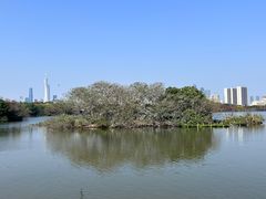 -海珠湖公园
