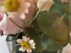 -casamosaico卡萨马可意大利餐厅