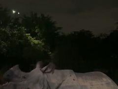 -夜间野生动物园