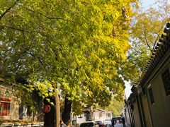 -束河人家(南锣鼓巷店)