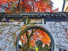 -惠山古镇·寄畅园