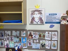 -美联众合动物医院·24h京西诊疗中心