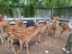 -北京野生动物园