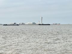 -上海滨江森林公园