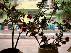-Rechill Cafe(工体店)