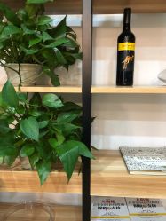 -Union瑜伽健康管理中心