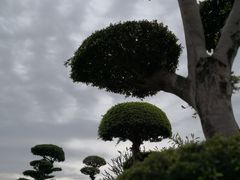 -南宁南湖公园
