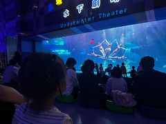 -泉城欧乐堡海洋极地世界