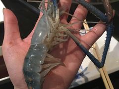 -Kingkong Buffet(The Mercury ville)