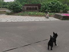 -东郊湿地公园