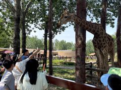 -大连森林动物园