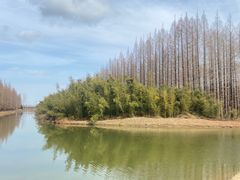 -黄海国家森林公园