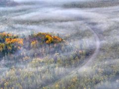 -五营红松林海景区