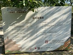 -红楼梦邮局