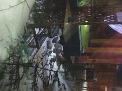 -汉拿山温泉度假酒店
