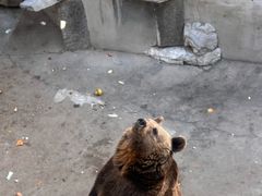 -保定市动物园