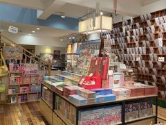 -猫的天空之城概念书店(束河店)