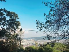 -灵岩山风景区