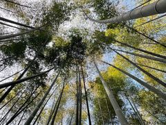 -同里国家湿地公园