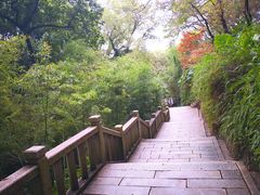 -乌山风景区