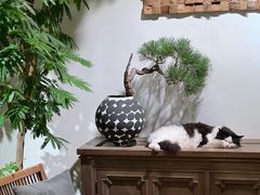 -自由生长植物工作室(深港花卉中心店)