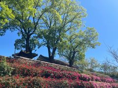 -红螺寺