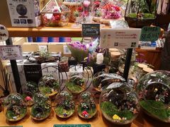 -西西弗书店&矢量咖啡(来福士广场店)
