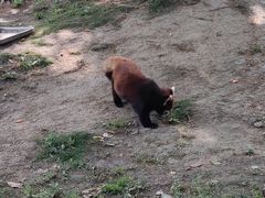 -常州淹城野生动物世界