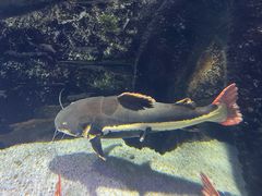 -泉城欧乐堡海洋极地世界