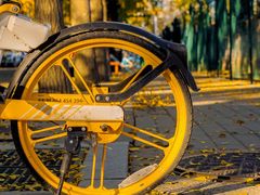 -三里屯东五街银杏大道