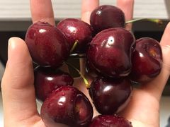 -7fresh七鲜(大族广场店)