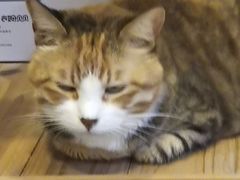 -上海交通大学董浩云航运博物馆