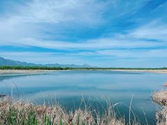 -野鸭湖国家湿地公园