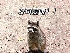 -广州动物园