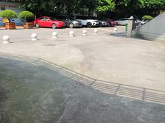 -重庆市奥林匹克体育中心-游泳跳水馆