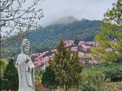-灵光寺