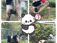 -黔灵山公园