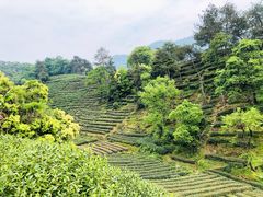 -西湖风景区十里琅珰-五云山