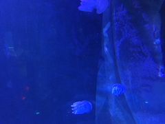 -唯尚主题式KTV(红谷滩店)