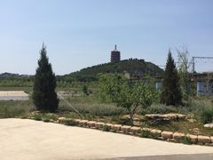 -永定河休闲森林公园