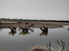 -宁波杭州湾国家湿地公园