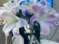 -如家酒店·neo(广州东山口地铁站中山一院店)