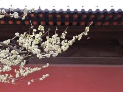 -广富林郊野公园