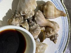 -小海丁