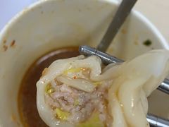 白菜鲜肉-熊大爷现包饺子(和平里店)