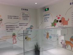 -瑞派申生动物医院·24H夜诊·国际动物医疗中心·骨外科(吴中路店)