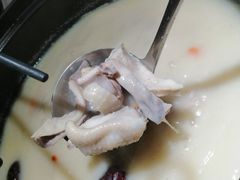 -洪氏嗨捞·广东猪肚鸡·椰子鸡火锅(西咸万象城店)
