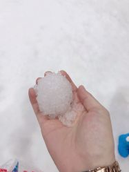 -Mr·Kuma酷么先生雪之乐园