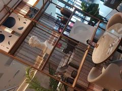 -必胜客(射阳吾悦店)